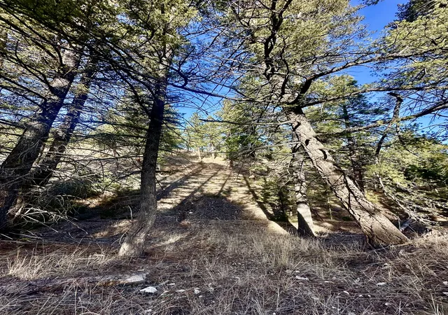 Photo 4 of Land for sale at Tbd Martinez Gulch, Clancy, MT 59634 | MLS# 30064332 | Listing updated on 2026-08-21