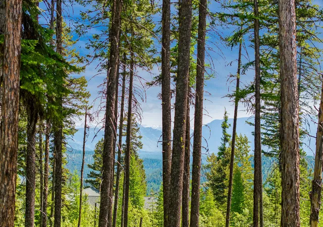 Photo 2 of Single family home for sale at 205 Ridge Run Ct, Whitefish, MT 59937 | MLS# 30065829 | Listing updated on 2026-08-25