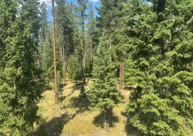 Photo 3 of Land for sale at Nhn Highway 37, Libby, MT 59923 | MLS# 30066892 | Listing updated on 2026-08-26