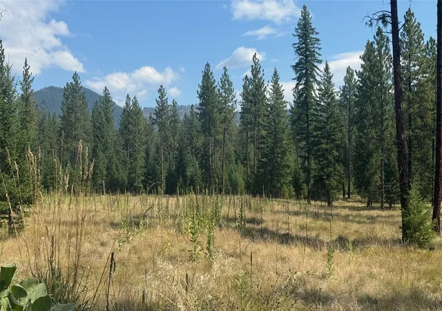 Photo 3 of Land for sale at Nhn Highway 37, Libby, MT 59923 | MLS# 30066892 | Listing updated on 2026-08-26