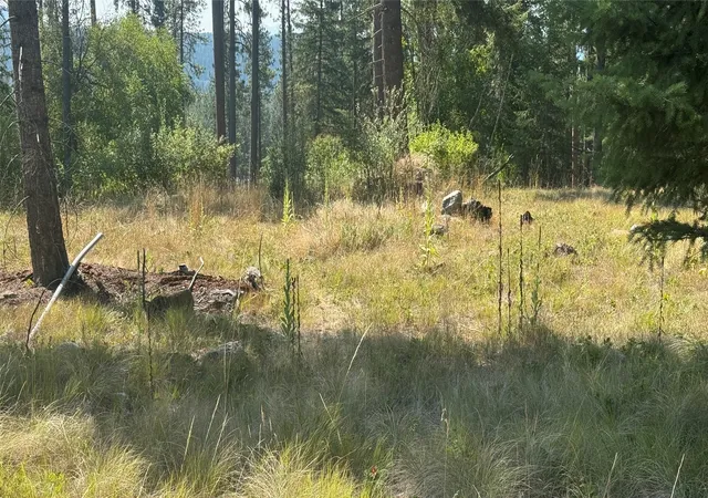 Photo 4 of Land for sale at Nhn Highway 37, Libby, MT 59923 | MLS# 30066892 | Listing updated on 2026-08-26