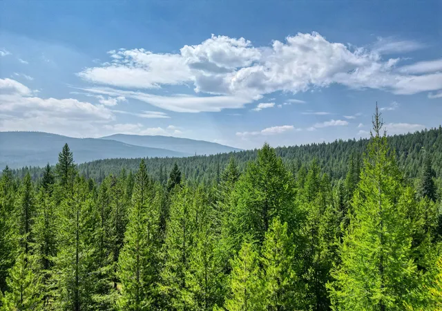 Photo 3 of Land for sale at 1047 View Ridge, Marion, MT 59925 | MLS# 30067128 | Listing updated on 2026-08-27