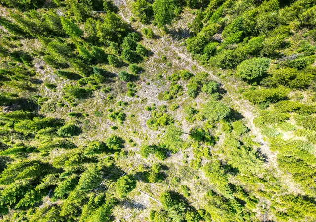 Photo 3 of Land for sale at 1047 View Ridge, Marion, MT 59925 | MLS# 30067128 | Listing updated on 2026-08-27