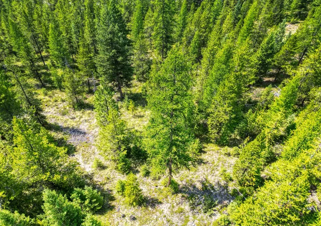 Photo 4 of Land for sale at 1047 View Ridge, Marion, MT 59925 | MLS# 30067128 | Listing updated on 2026-08-27