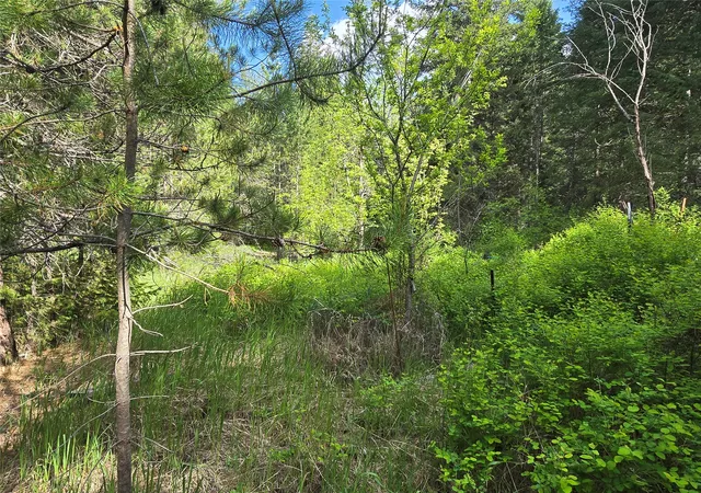 Photo 22 of Land for sale at 769 Lower Seven Mile Crk Rd, St Regis, MT 59866 | MLS# 30067114 | Listing updated on 2026-08-21