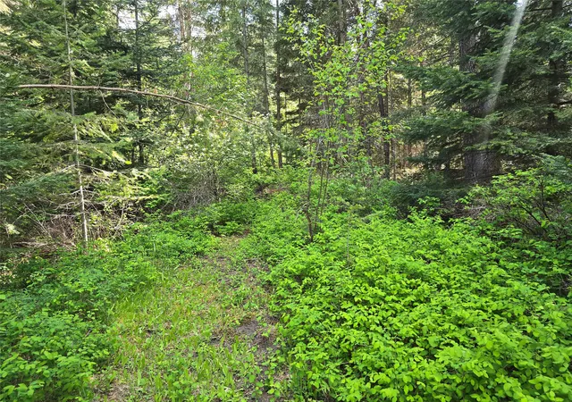 Photo 4 of Land for sale at 769 Lower Seven Mile Crk Rd, St Regis, MT 59866 | MLS# 30067114 | Listing updated on 2026-08-21