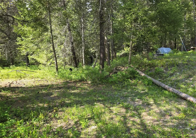 Photo 5 of Land for sale at 769 Lower Seven Mile Crk Rd, St Regis, MT 59866 | MLS# 30067114 | Listing updated on 2026-08-21