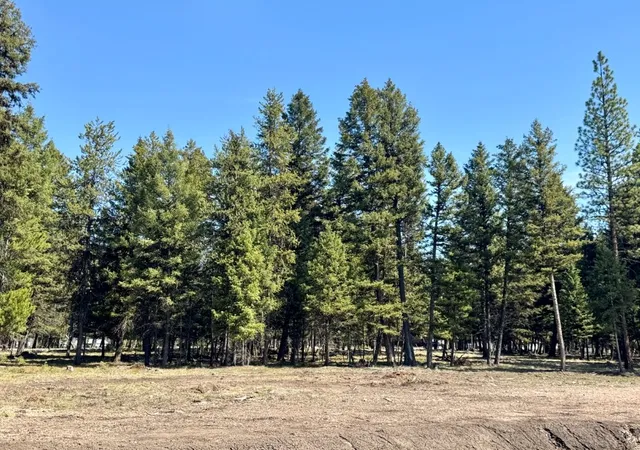 Photo 2 of Land for sale at 134 Nordic Way, Seeley Lake, MT 59868 | MLS# 30066961 | Listing updated on 2026-08-27