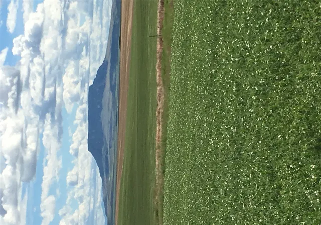 Photo 1 of Land for sale at Ukn Flat Crk Rd, Geraldine, MT 59446 | MLS# 30068104 | Listing updated on 2026-08-24