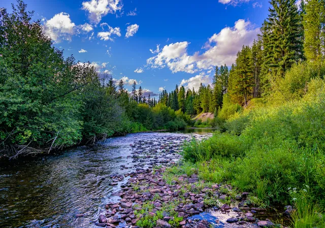 Photo 1 of Land for sale at 002 Route 83, Seeley Lake, MT 59868 | MLS# 30065788 | Listing updated on 2026-08-19