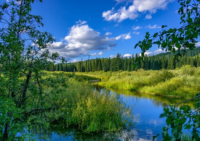 Photo 2 of Land for sale at 002 Route 83, Seeley Lake, MT 59868 | MLS# 30065788 | Listing updated on 2026-08-19