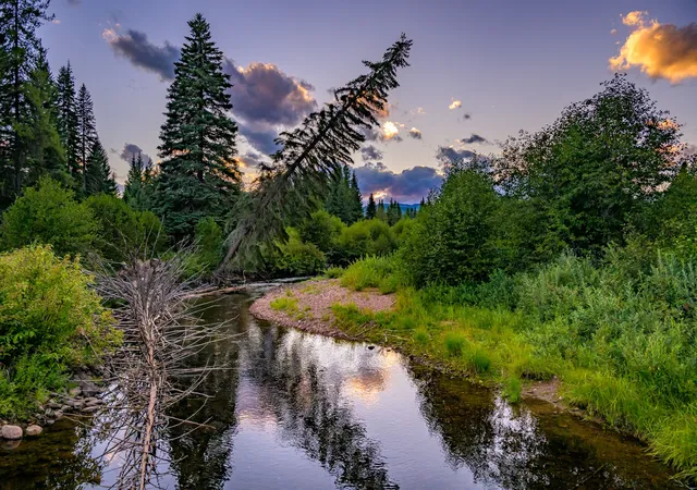 Photo 3 of Land for sale at 002 Route 83, Seeley Lake, MT 59868 | MLS# 30065788 | Listing updated on 2026-08-19