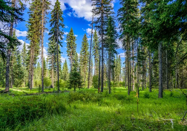 Photo 3 of Land for sale at 002 Route 83, Seeley Lake, MT 59868 | MLS# 30065788 | Listing updated on 2026-08-19