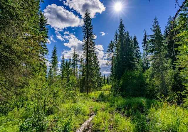 Photo 4 of Land for sale at 002 Route 83, Seeley Lake, MT 59868 | MLS# 30065788 | Listing updated on 2026-08-19