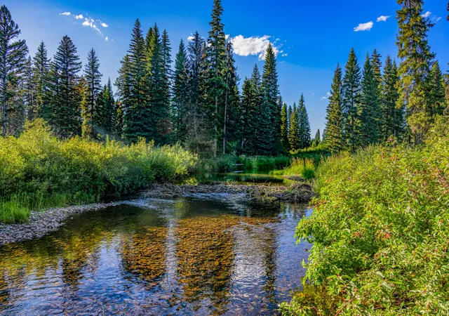 Photo 1 of Land for sale at Nhn Route 83, Seeley Lake, MT 59868 | MLS# 30065787 | Listing updated on 2026-08-19