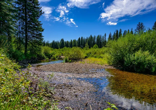 Photo 2 of Land for sale at Nhn Route 83, Seeley Lake, MT 59868 | MLS# 30065787 | Listing updated on 2026-08-19
