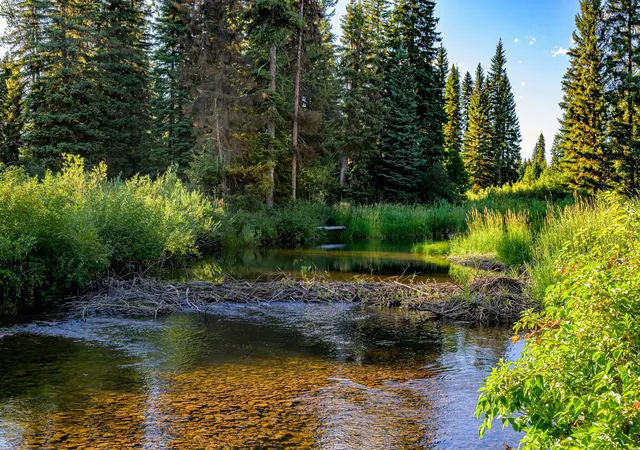 Photo 3 of Land for sale at Nhn Route 83, Seeley Lake, MT 59868 | MLS# 30065787 | Listing updated on 2026-08-19