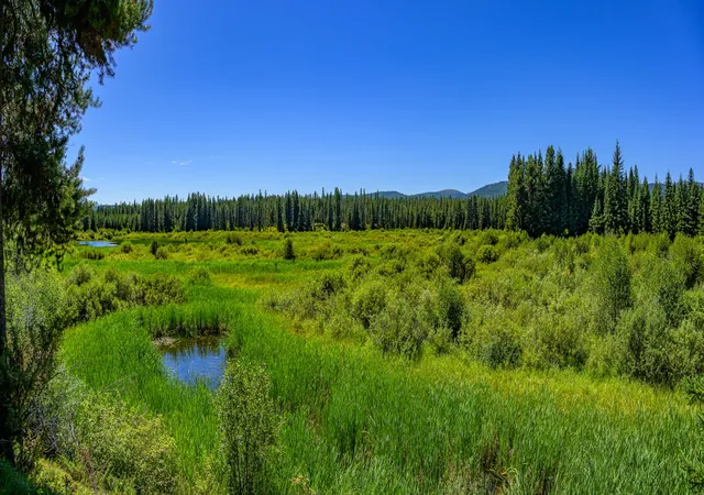 Photo 3 of Land for sale at Nhn Route 83, Seeley Lake, MT 59868 | MLS# 30065787 | Listing updated on 2026-08-19