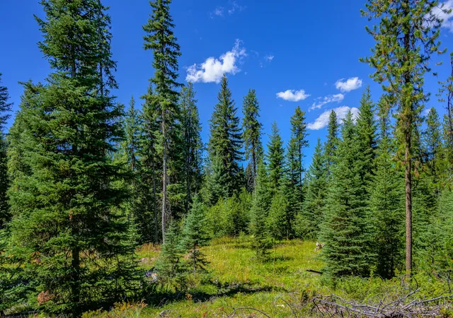 Photo 4 of Land for sale at Nhn Route 83, Seeley Lake, MT 59868 | MLS# 30065787 | Listing updated on 2026-08-19