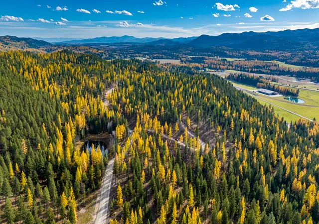 Photo 1 of Land for sale at 1143 Whitefish Ridge Rd, Whitefish, MT 59937 | MLS# 30068996 | Listing updated on 2026-08-07