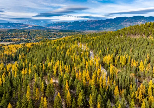 Photo 2 of Land for sale at 1143 Whitefish Ridge Rd, Whitefish, MT 59937 | MLS# 30068996 | Listing updated on 2026-08-07