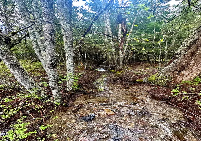 Photo 33 of Single family home for sale at 1519 Blue Slide Rd, Thompson Falls, MT 59873 | MLS# 30069607 | Listing updated on 2026-08-17