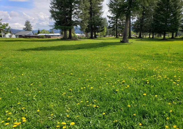 Photo 2 of Land for sale at Nhn Education Way, Libby, MT 59923 | MLS# 30069835 | Listing updated on 2026-08-19