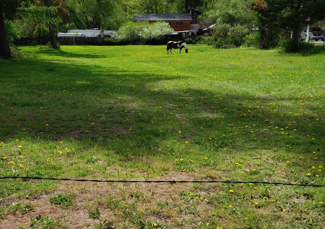 Photo 3 of Land for sale at Nhn Education Way, Libby, MT 59923 | MLS# 30069835 | Listing updated on 2026-08-19