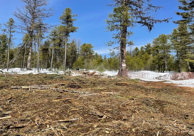Photo 1 of Land for sale at Nhn Dirty Ike Crk Rd, Clinton, MT 59825 | MLS# 30069568 | Listing updated on 2026-08-22