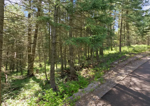 Photo 19 of Land for sale at 119 Stageline Ct, Whitefish, MT 59937 | MLS# 30069876 | Listing updated on 2026-08-07