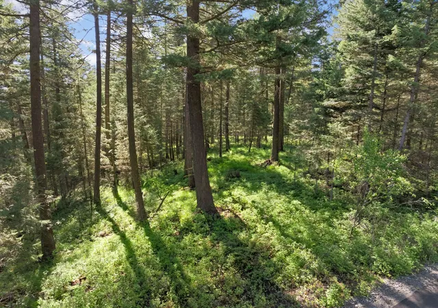 Photo 1 of Land for sale at 119 Stageline Ct, Whitefish, MT 59937 | MLS# 30069876 | Listing updated on 2026-08-07
