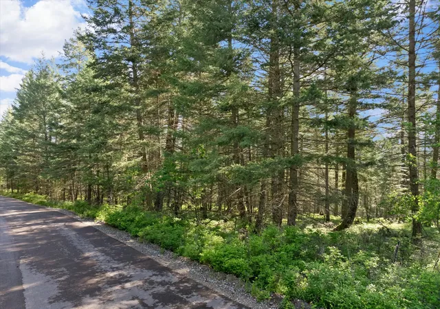 Photo 4 of Land for sale at 119 Stageline Ct, Whitefish, MT 59937 | MLS# 30069876 | Listing updated on 2026-08-07