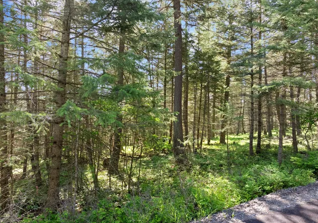 Photo 5 of Land for sale at 119 Stageline Ct, Whitefish, MT 59937 | MLS# 30069876 | Listing updated on 2026-08-07