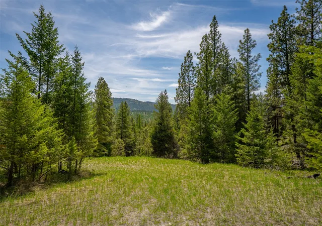 Photo 3 of Land for sale at 689 Springhill Rd, Kila, MT 59920 | MLS# 30070303 | Listing updated on 2026-08-23