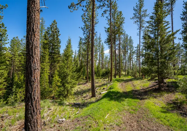 Photo 3 of Land for sale at 3605 Hubbart Dam Rd, Marion, MT 59925 | MLS# 30070608 | Listing updated on 2026-08-07