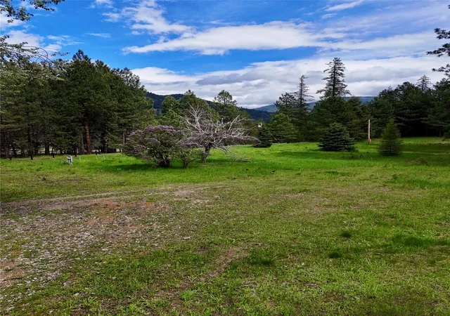 Photo 27 of Land for sale at 7 Old Cottonwood Ln, Trout Creek, MT 59874 | MLS# 30070875 | Listing updated on 2026-08-18