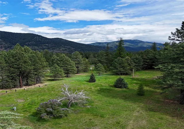 Photo 2 of Land for sale at 7 Old Cottonwood Ln, Trout Creek, MT 59874 | MLS# 30070875 | Listing updated on 2026-08-18