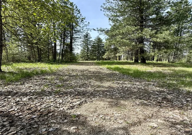 Photo 5 of Land for sale at 7 Old Cottonwood Ln, Trout Creek, MT 59874 | MLS# 30070875 | Listing updated on 2026-08-18