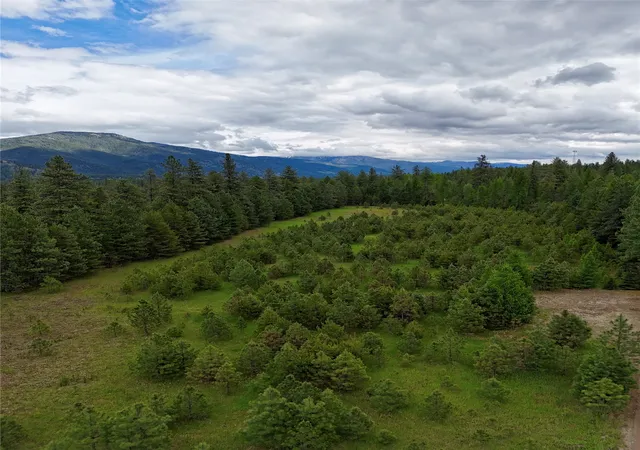 Photo 3 of Land for sale at Nhn Old Cottonwood Ln, Trout Creek, MT 59874 | MLS# 30070979 | Listing updated on 2026-08-18