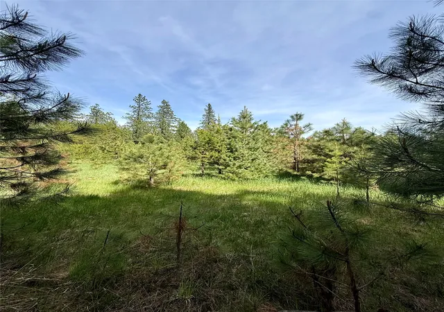 Photo 4 of Land for sale at Nhn Old Cottonwood Ln, Trout Creek, MT 59874 | MLS# 30070979 | Listing updated on 2026-08-18