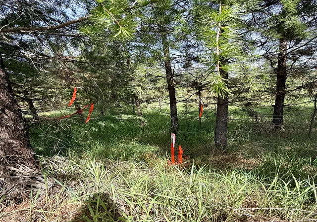 Photo 38 of Land for sale at 7 & Nhn Old Cottonwood Ln, Trout Creek, MT 59874 | MLS# 30070981 | Listing updated on 2026-08-18