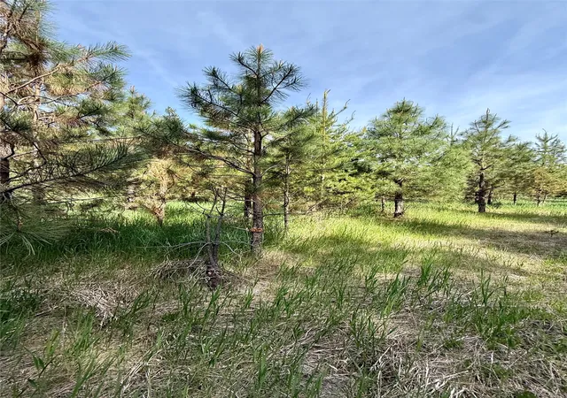 Photo 5 of Land for sale at 7 & Nhn Old Cottonwood Ln, Trout Creek, MT 59874 | MLS# 30070981 | Listing updated on 2026-08-18