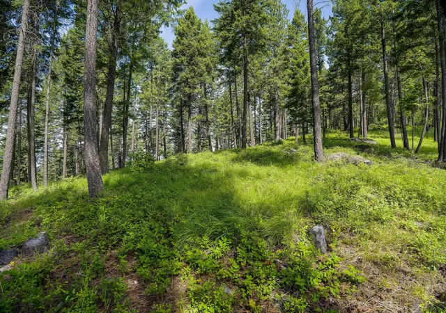 Photo 3 of Land for sale at 369 Chief Cliff Trl, Bigfork, MT 59911 | MLS# 30070235 | Listing updated on 2026-08-07
