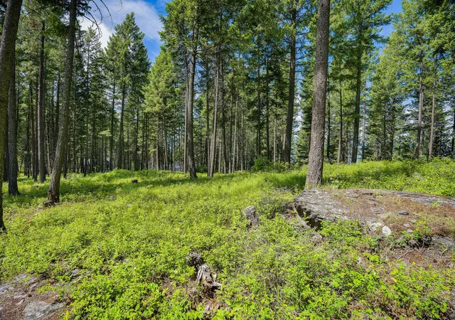 Photo 3 of Land for sale at 369 Chief Cliff Trl, Bigfork, MT 59911 | MLS# 30070235 | Listing updated on 2026-08-07