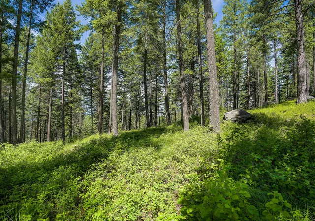 Photo 4 of Land for sale at 369 Chief Cliff Trl, Bigfork, MT 59911 | MLS# 30070235 | Listing updated on 2026-08-07