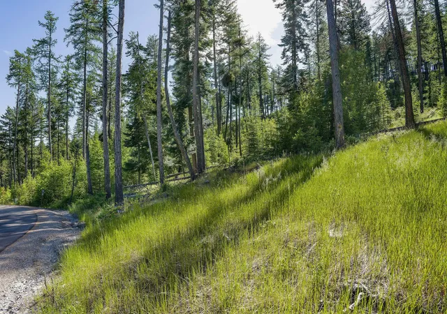 Photo 3 of Land for sale at 234 Trading Post Trl, Bigfork, MT 59911 | MLS# 30070234 | Listing updated on 2026-08-07