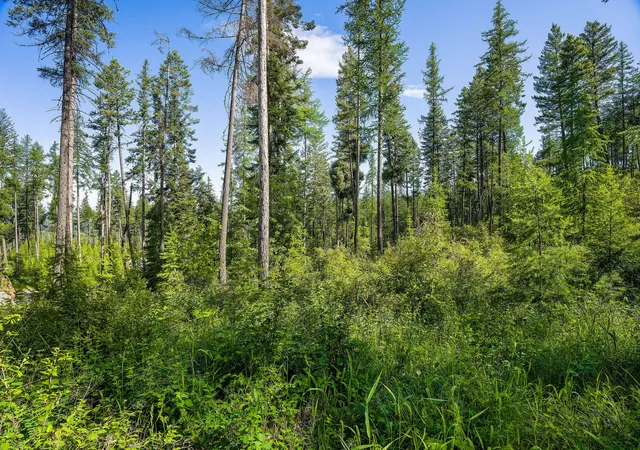 Photo 4 of Land for sale at 234 Trading Post Trl, Bigfork, MT 59911 | MLS# 30070234 | Listing updated on 2026-08-07