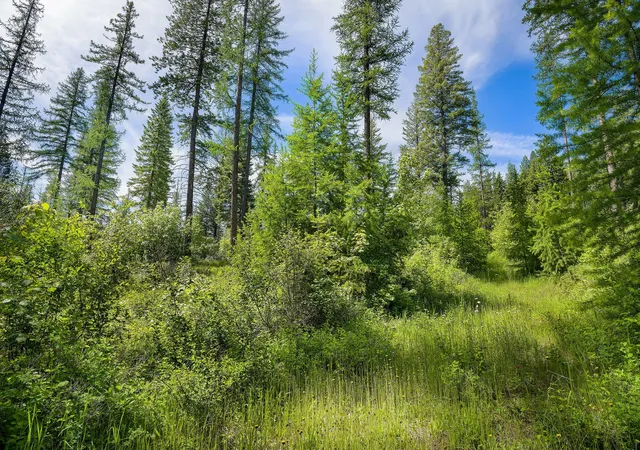 Photo 2 of Land for sale at 477 Chief Cliff Trl, Bigfork, MT 59911 | MLS# 30070233 | Listing updated on 2026-08-07