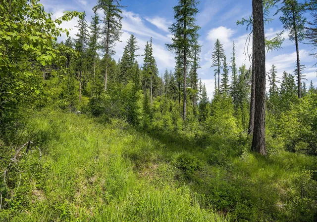 Photo 3 of Land for sale at 477 Chief Cliff Trl, Bigfork, MT 59911 | MLS# 30070233 | Listing updated on 2026-08-07