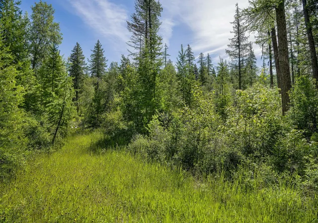 Photo 3 of Land for sale at 477 Chief Cliff Trl, Bigfork, MT 59911 | MLS# 30070233 | Listing updated on 2026-08-07